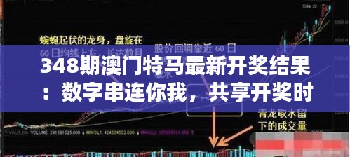 348期澳门特马最新开奖结果：数字串连你我，共享开奖时刻的紧张与兴奋