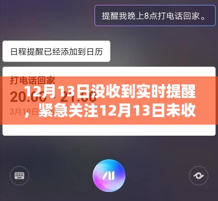 12月13日未收到实时提醒问题解析与应对攻略