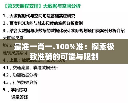 最准一肖一.100%准：探索极致准确的可能与限制