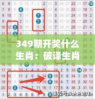 349期开奖什么生肖：破译生肖与中奖号码的秘密