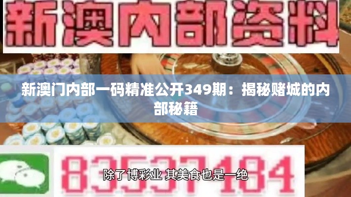 新澳门内部一码精准公开349期：揭秘赌城的内部秘籍