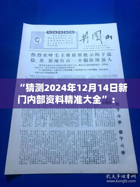 “猜测2024年12月14日新门内部资料精准大全”： 对新门行业未来走向的思考