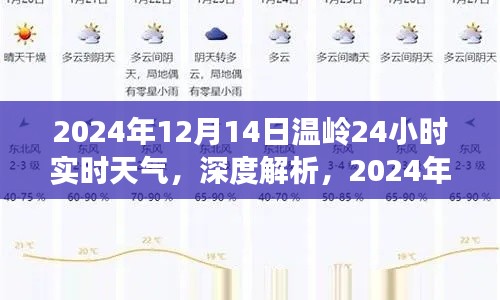 独家解析，2024年12月14日温岭市全天候天气深度影响与个人观点