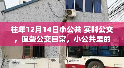 温馨公交日常与小公共里的意外惊喜与陪伴——历年12月14日回顾