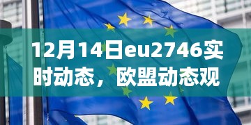 欧盟eu2746实时动态深度解读，欧盟动态观察与行动中的洞察