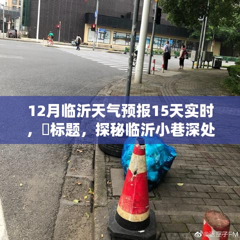 探秘临沂小巷深处的天气秘密与独特风情小店，临沂天气预报深度解析