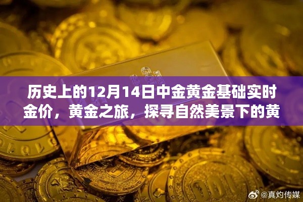 黄金之旅，探寻自然美景下的金价与内心宁静——历史上的黄金基础实时金价回顾（12月14日）