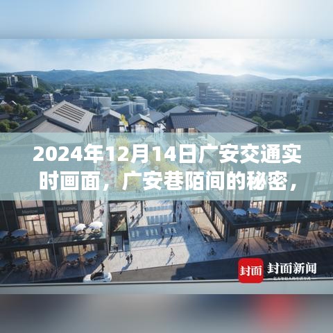 广安巷陌的秘密，2024年12月14日交通微观之旅的实时画面