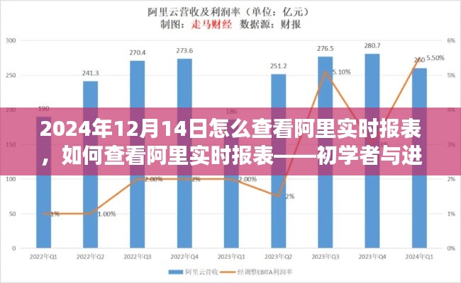 阿里实时报表查看指南，初学者与进阶用户的详细教程（2024年12月14日版）