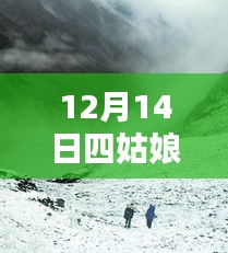 雪域秘境四姑娘山，探寻内心宁静与喜悦的实时体验之旅