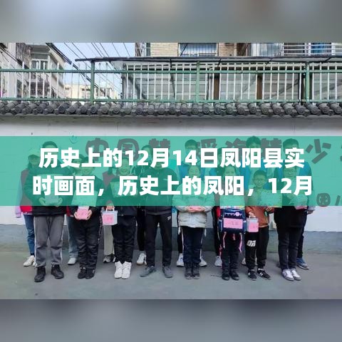 历史上的凤阳，12月14日阳光下的启示与成长之路