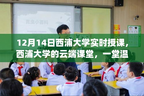 西浦大学云端课堂，实时授课之旅的温馨与趣味