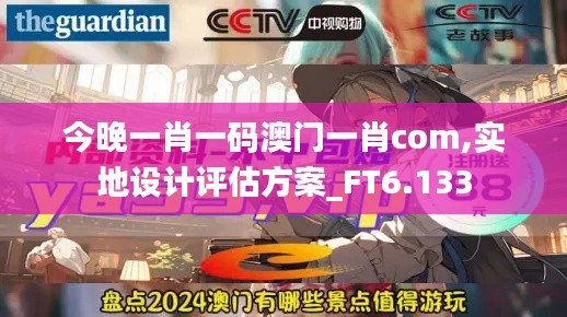 今晚一肖一码澳门一肖com,实地设计评估方案_FT6.133