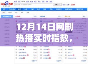 12月14日网剧热播背后的励志故事与成长力量，荧屏之光实时指数揭秘