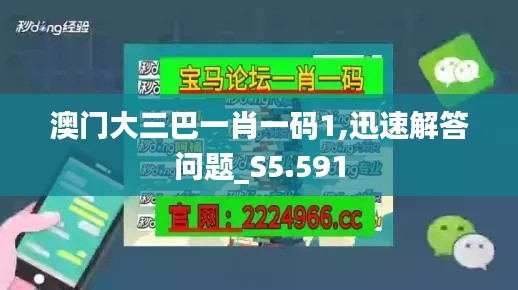 澳门大三巴一肖一码1,迅速解答问题_S5.591