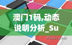 澳门1码,动态说明分析_Surface4.677