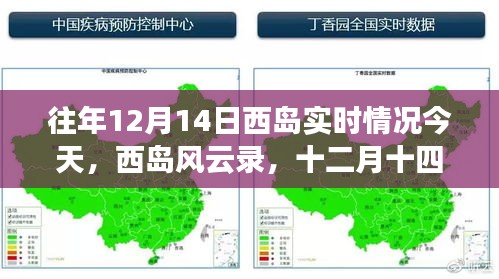 西岛风云录，十二月十四日的记忆回溯与实时情况回顾