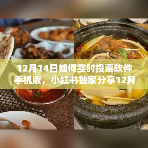 小红书独家分享，12月14日实时投票软件手机版使用指南及实时投票指南