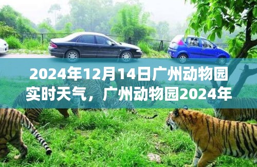 广州动物园风云变幻中的动物与自然共舞纪实，2024年12月14日天气纪实