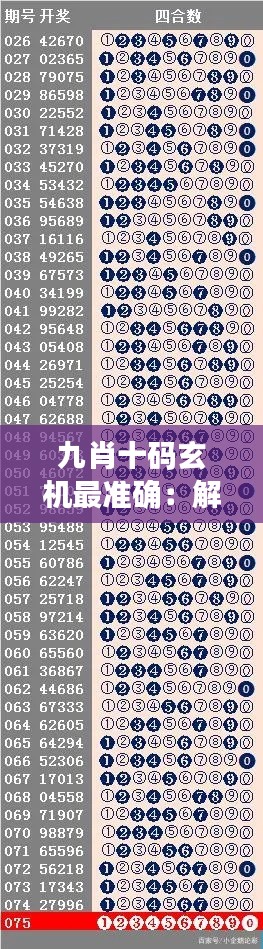 九肖十码玄机最准确：解密数字游戏背后的逻辑与概率学