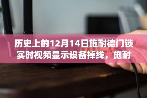 施耐德门锁视频显示设备掉线事件，回望历史中的一次技术波折