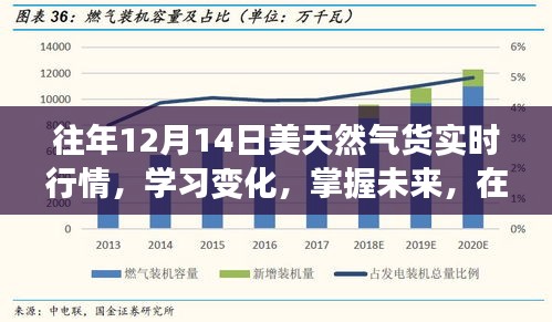 往年12月14日美国天然气实时行情解析，洞悉变化，把握未来，找寻自信与成就之路