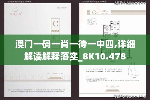 澳门一码一肖一待一中四,详细解读解释落实_8K10.478