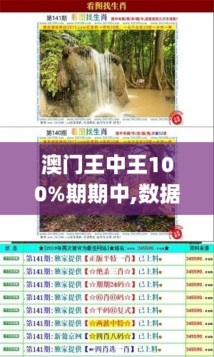 澳门王中王100%期期中,数据资料解释落实_iPad7.398