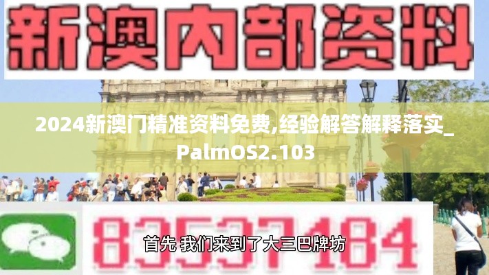 2024新澳门精准资料免费,经验解答解释落实_PalmOS2.103