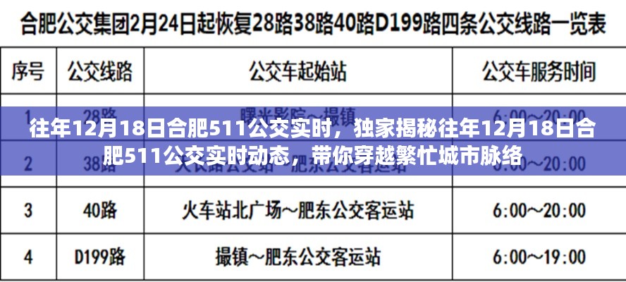 独家揭秘，合肥公交511线路往年12月18日实时动态回顾，穿越城市脉络的繁忙轨迹