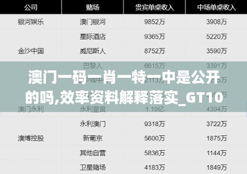 澳门一码一肖一特一中是公开的吗,效率资料解释落实_GT10.225