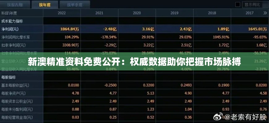 新澳精准资料免费公开：权威数据助你把握市场脉搏