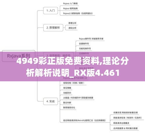 4949彩正版免费资料,理论分析解析说明_RX版4.461