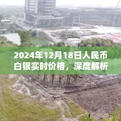 深度解析，2024年12月18日人民币白银实时价格、特性、用户体验及竞品对比