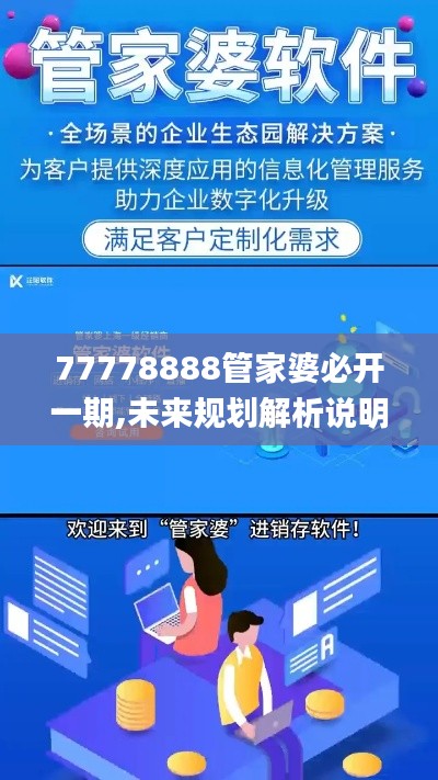 77778888管家婆必开一期,未来规划解析说明_8DM6.428