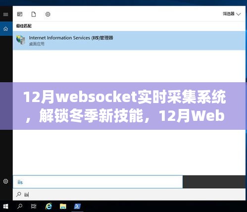 冬季新技能，深度解析12月WebSocket实时采集系统