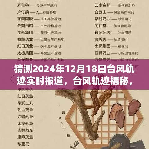 揭秘台风轨迹，风云变幻预测与回顾，2024年台风实时报道及影响分析