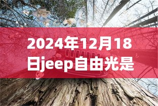 揭秘Jeep自由光的实时四驱之旅，探秘特色小店与深度体验日纪实