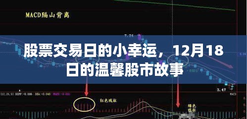 12月18日股市小幸运，温馨故事中的投资喜悦