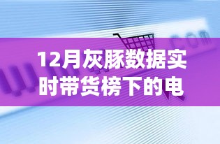 灰豚数据实时带货榜下的电商风云，深度解析与观点阐述