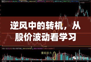 逆风中的转机，股价波动揭示学习与变化的力量