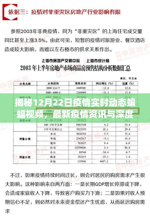 揭秘最新疫情资讯，蝙蝠视频实时动态报道与深度解读（12月22日）