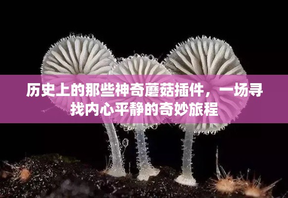 神奇蘑菇插件的历史之旅，寻找内心平静的奇妙探险