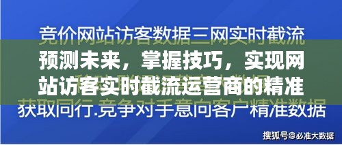 网站访客精准截流策略，预测未来，掌握技巧，初学者与进阶用户指南