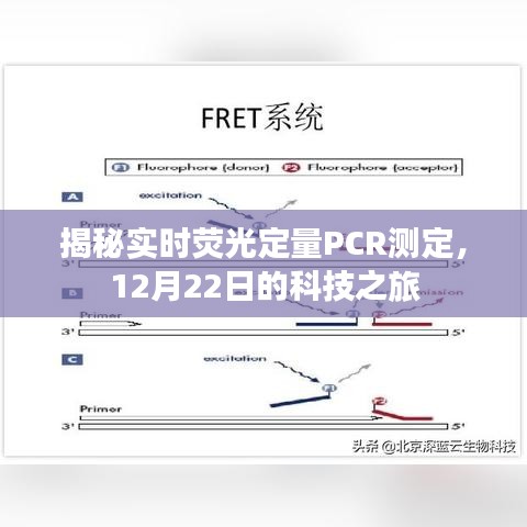 揭秘实时荧光定量PCR测定，科技之旅启程于12月22日