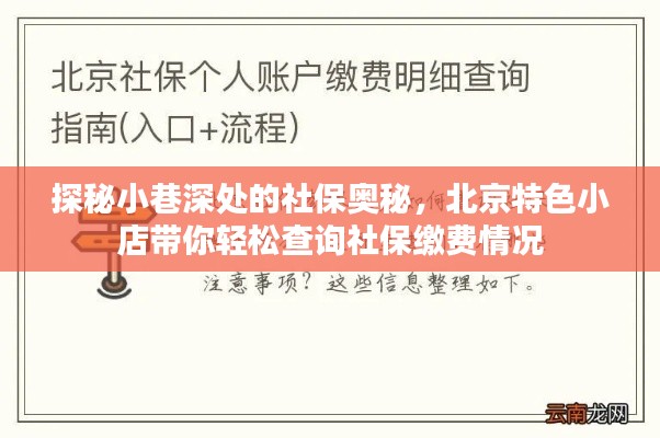 探秘小巷深处的社保奥秘，北京特色小店引领社保缴费查询新体验