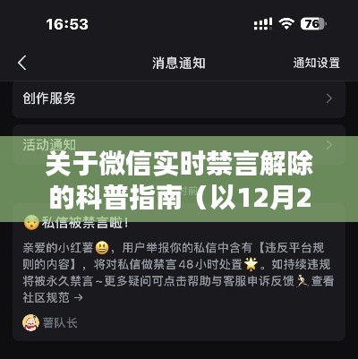 微信实时禁言解除科普指南（以最新数据为例）