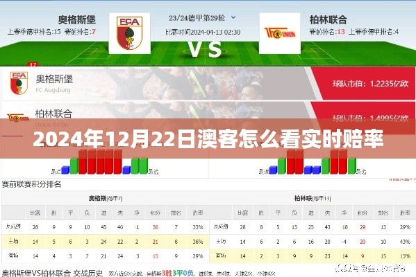 澳客体育实时赔率查看指南，2024年12月22日全新体验