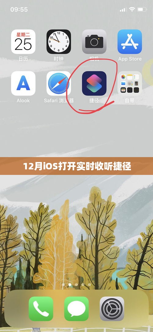 iOS实时收听捷径指南，12月开启新体验