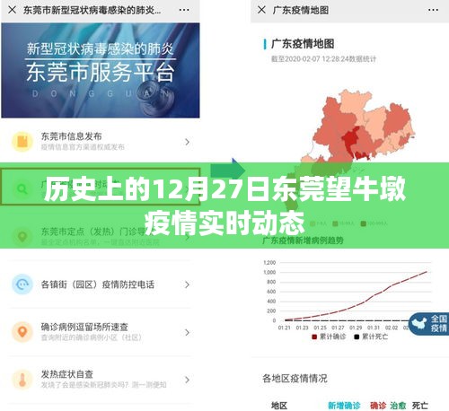 东莞望牛墩疫情实时动态，历史视角下的疫情演变